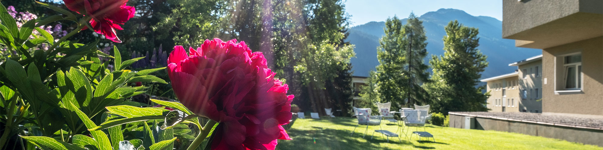 Hotel Davos - Abschalten - und geniessen